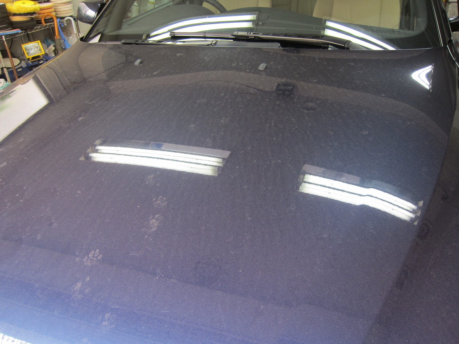 濃色車は輝きと深みが増します Bmw 525 I ガラスコーティング カービューティープロ ブルーボトル ガラスコーティング 東京